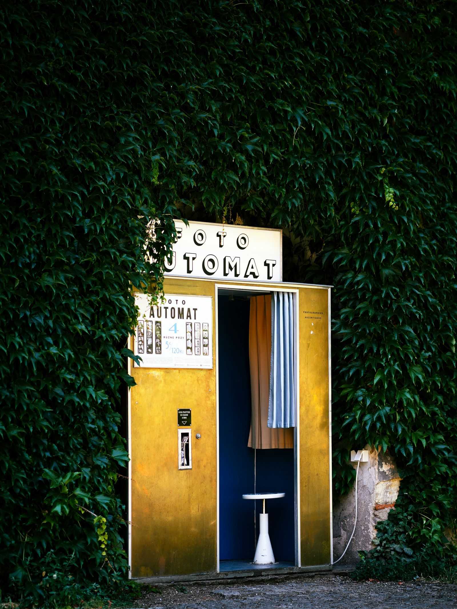 بائیو میٹرک فوٹو میکر